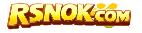 rsnok — logo kanal